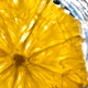 Illustration for article titled Shooting Challenge Gallery : Sunshine II